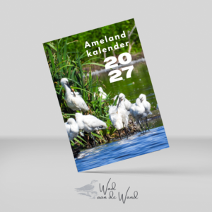 Ameland Kalender 2027 -nu in pre order-